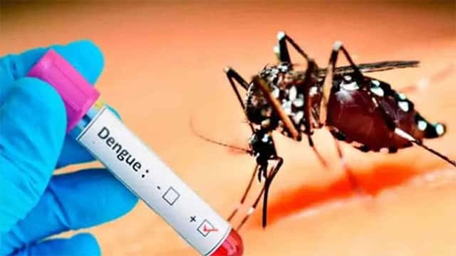 Dengue death toll in Sri Lanka rises to 73 as cases exceed 96,000