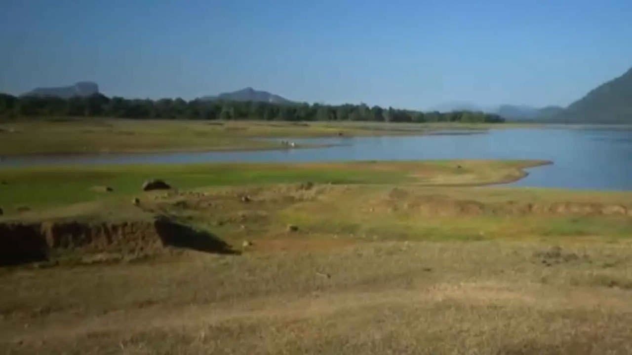Ampara water crisis deepens as reservoir water levels drop to 21.5%