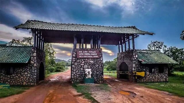 Yala National Park's Blocks 1 & 2 to be temporarily closed from Sep. 14