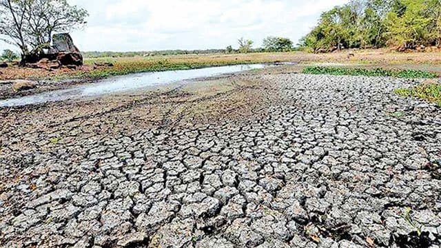 Dry weather affects over 115,500 people across seven districts