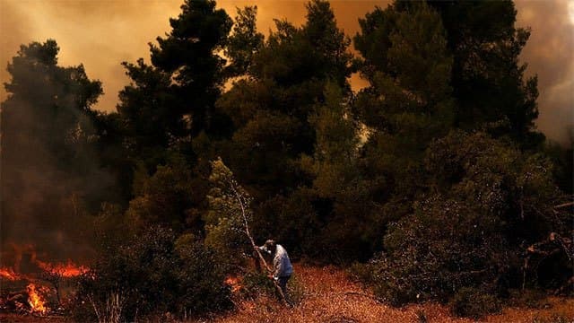 August was world's joint-hottest month on record, scientists say
