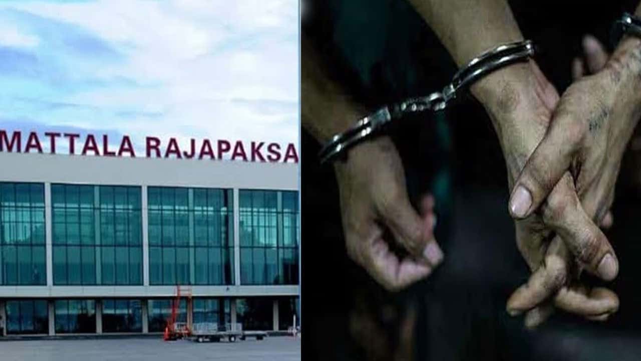 Five SLAF personnel arrested over deer poaching, venison trafficking at Mattala Airport