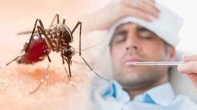 Over 2,100 Dengue cases reported in first 13 days of September