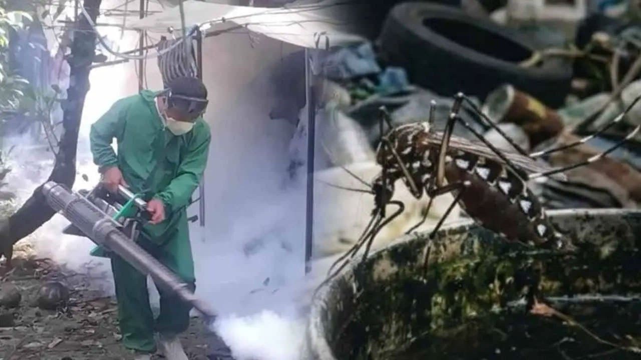 Special dengue control week begins in 62 MOH areas