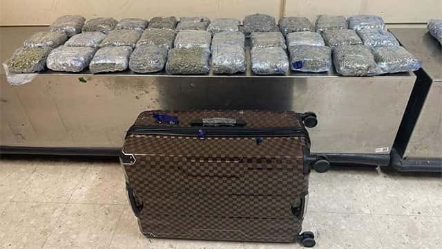 ‘Kush’ cannabis worth Rs. 320 million found inside luggage abandoned at BIA