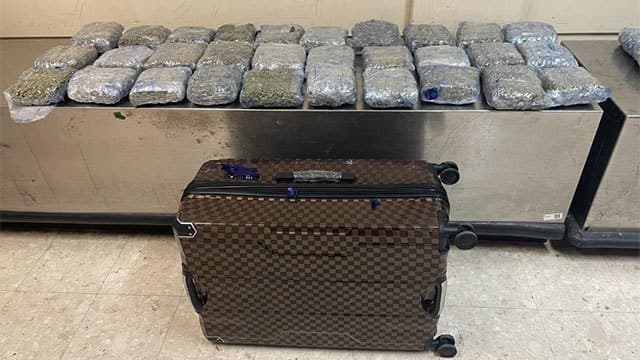 ‘Kush’ cannabis worth Rs. 320 million found inside luggage abandoned at BIA