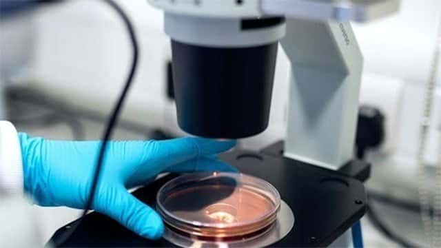 Semax and the Emerging Complexity of Neuroregulatory Peptide Research