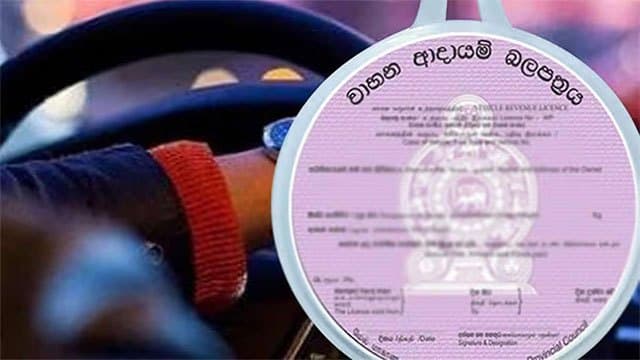 Electronic revenue licence system temporarily suspended in all provinces except Western