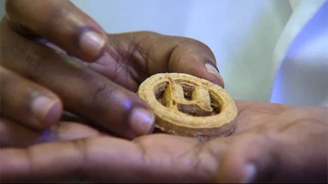 Sri Lankan scientist helps turn plastic waste into food