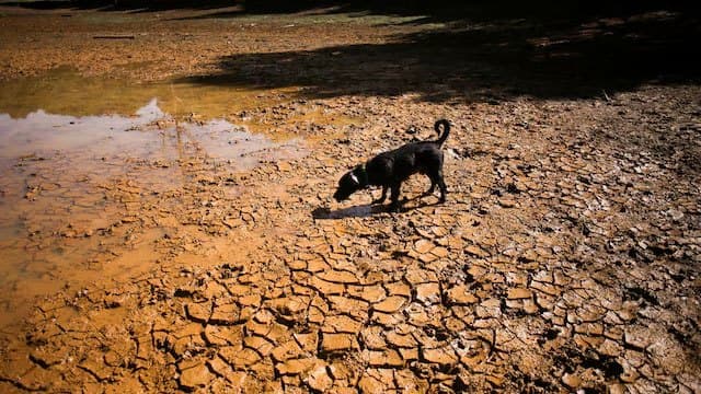 What is a 'super El Niño' and how will it affect the weather?