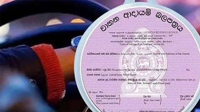 E-revenue licence issuance service temporarily suspended in eight provinces