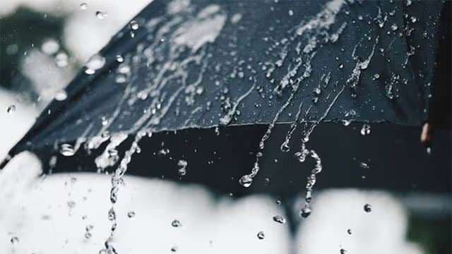 Showers expected in several areas today