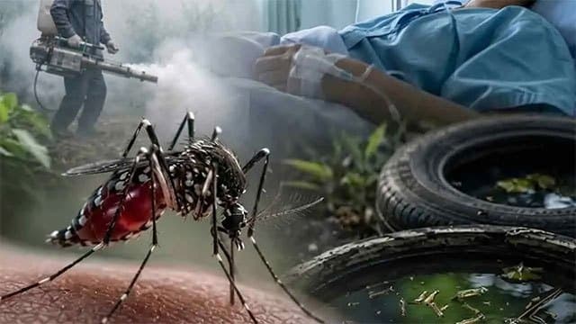Sri Lanka’s dengue death toll rises to 77 as cases exceed 99,000