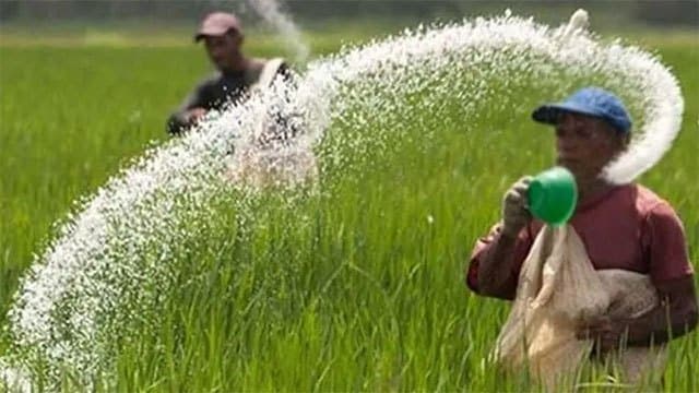 Cabinet approves Rs. 16 bln fertilizer subsidy for 2026/27 Maha season