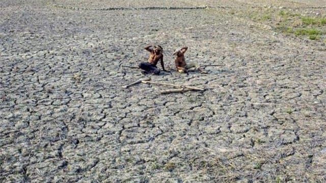 Super El Nino could make 2026 record hottest year: climate monitor