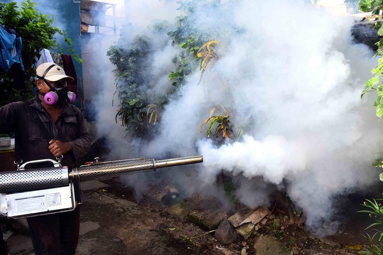 Dengue prevention drive…