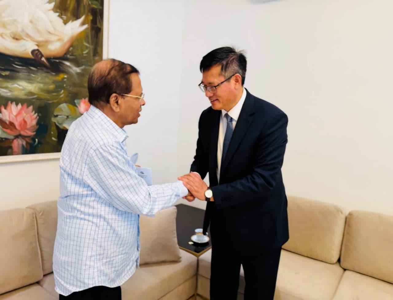 New Chinese envoy meets ex-President Maithripala...