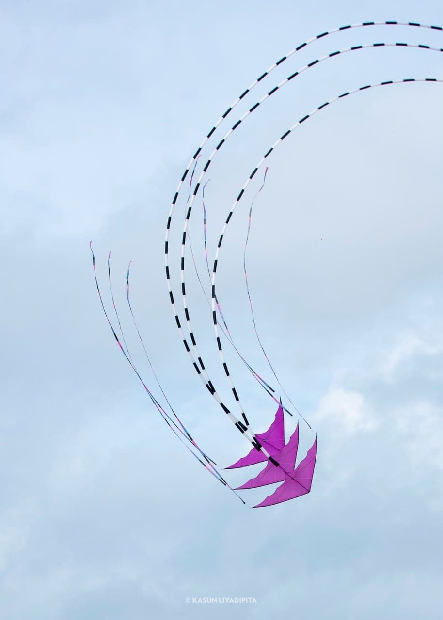 2026 Derana- Signal Colombo International Kite Festival…