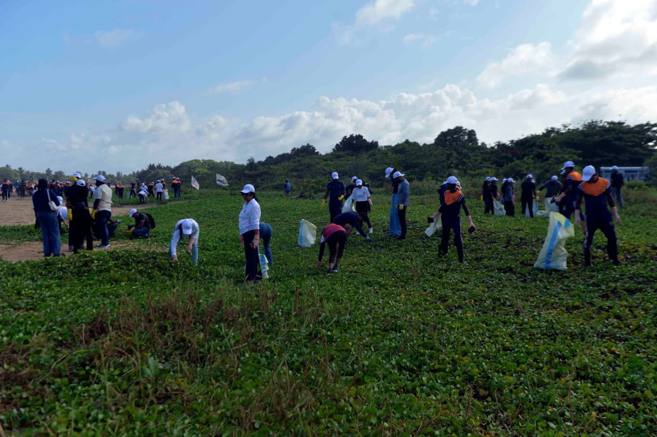 International Coastal Cleanup Day…