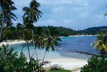 Foreigner killed, wife injured in brawl at resort