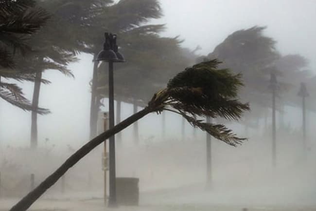 Sudden increase in wind speed expected - Met. Dept.