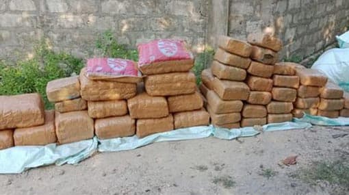 Half a ton of Kerala Cannabis seized within 36 hours