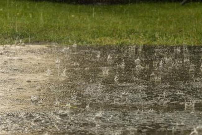 Showers or thundershowers expected in several areas