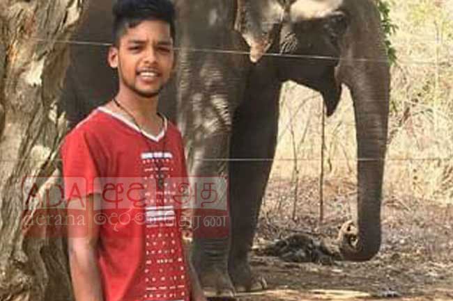 COVID-19 positive man flees home while under quarantine