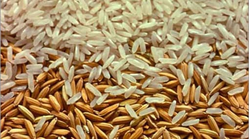 Paddy stocks with Paddy Marketing Board to be converted to rice