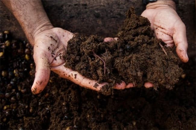 Govt. to offer Rs. 10,000 per hectare for farmers producing organic fertilizer