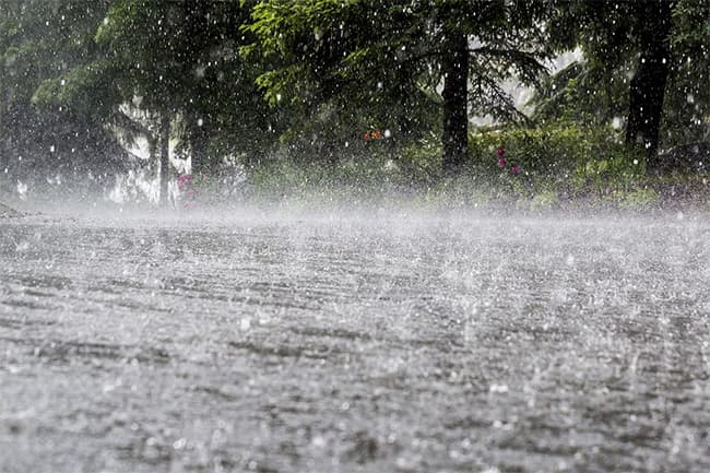 Four provinces to receive downpours of about 100 mm