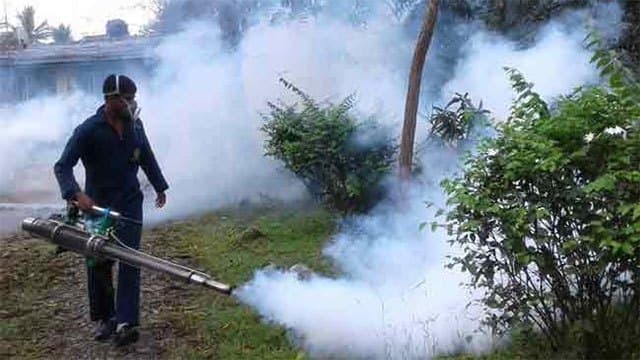 Fogging not a long-term solution to dengue control, experts say