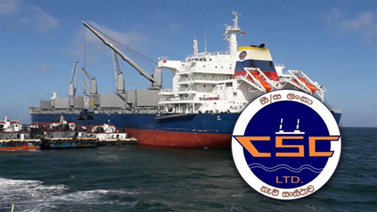 COPE reveals financial and governance weaknesses at Shipping Corporation