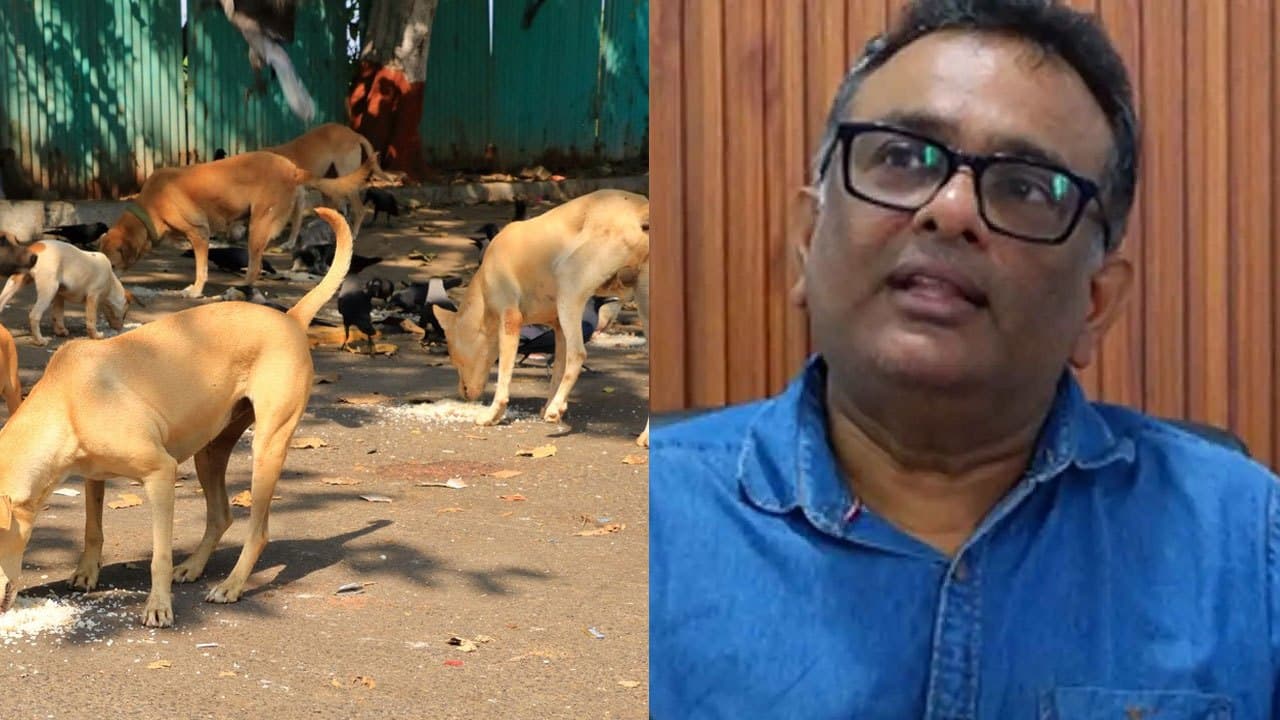 Veterinary surgeons oppose GMOA statement on Elimination of Rabies and Registration of Dogs Draft Bill
