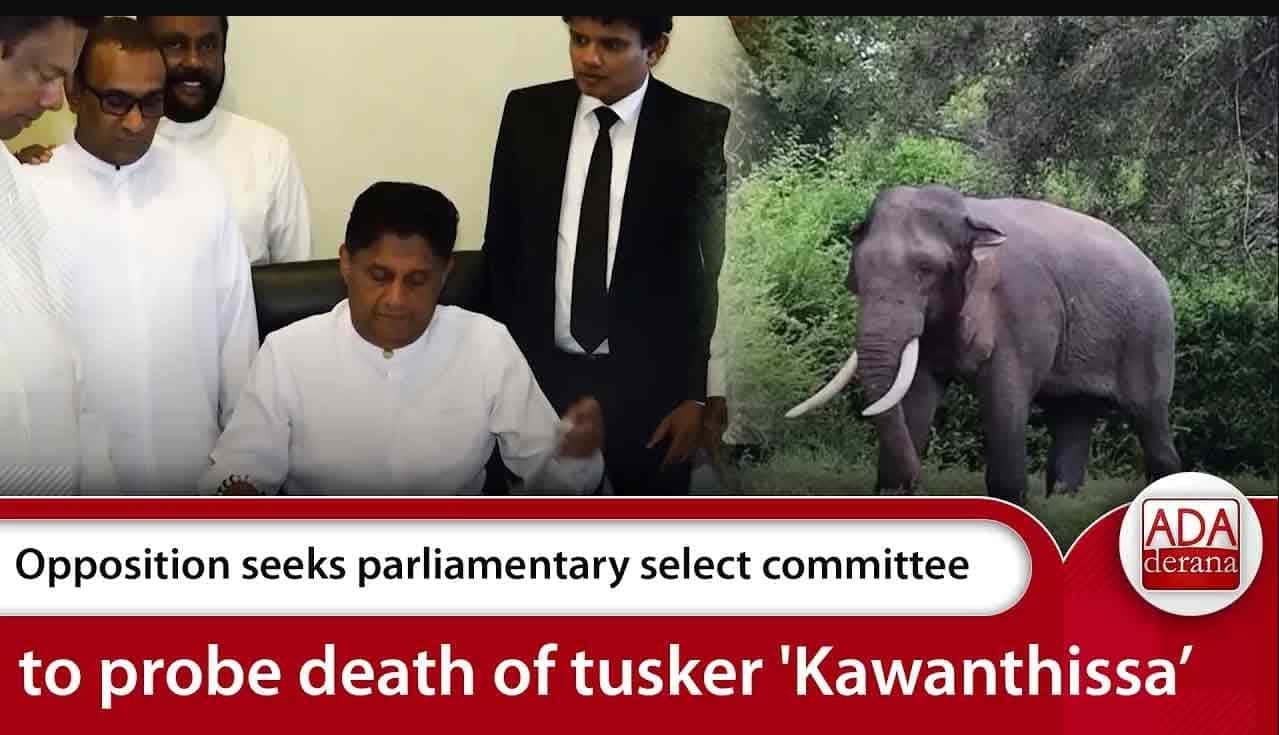 Opposition seeks parliamentary select committee to probe death of tusker 'Kawanthissa’