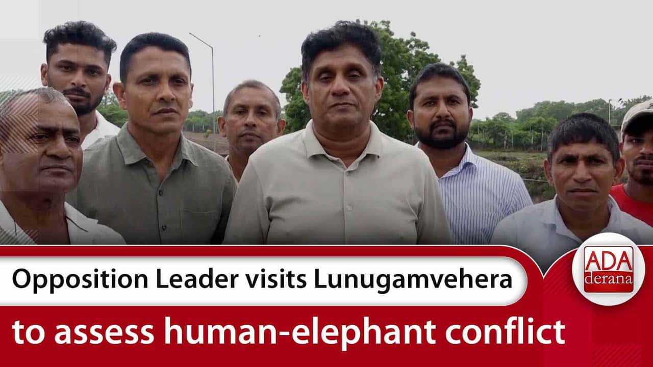 Opposition Leader visits Lunugamvehera to assess human-elephant conflict